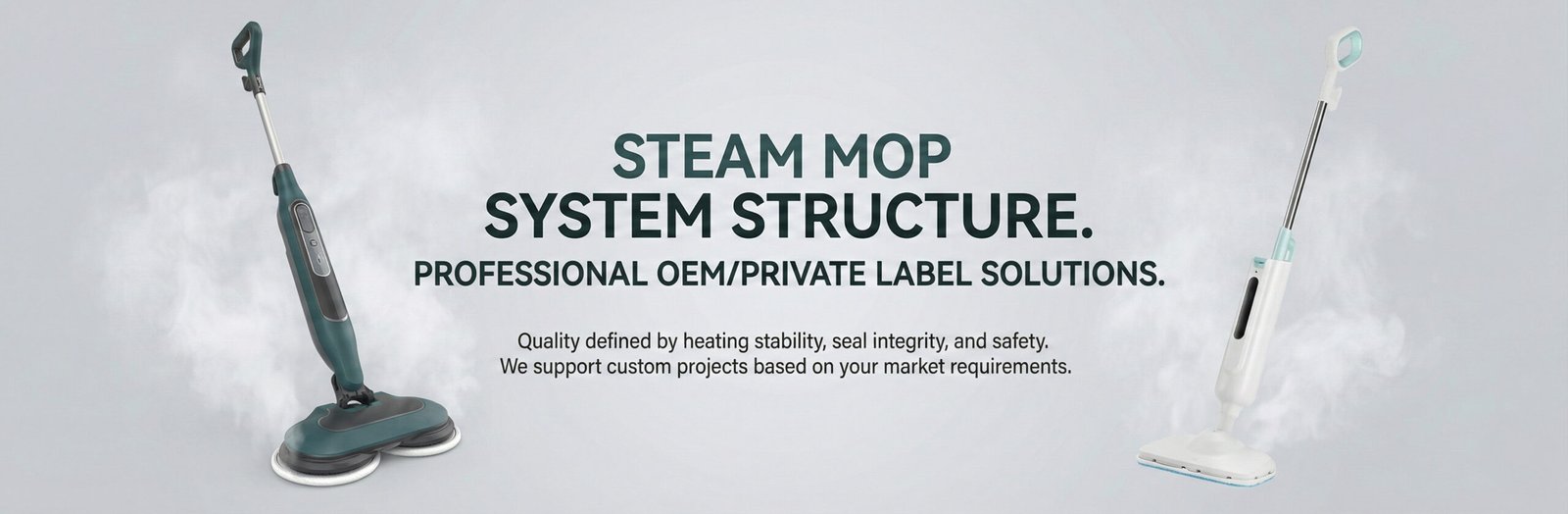 Professional OEMPrivate Label Steam Mop Solutions